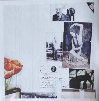 CD Marianne Faithfull: Negative Capability