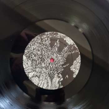 LP Neighbours Burning Neighbours: Burning Neighbours