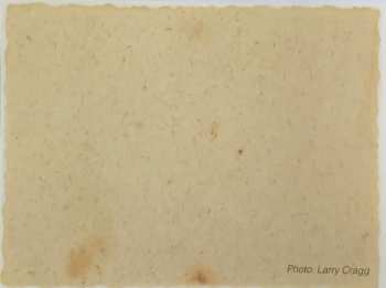 LP Neil Young: Barn LTD