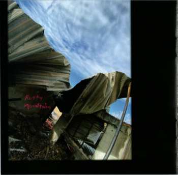 CD Neko Case: Neon Grey Midnight Green