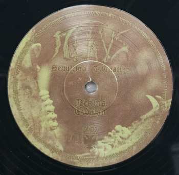 2LP Nekus: Sepulchral Divination