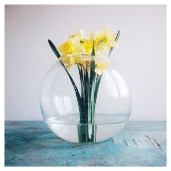 CD Neøv: Soft Atlas