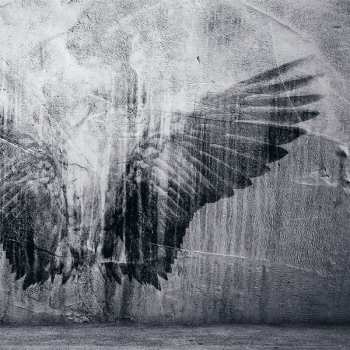 2CD Ner\ogris: I Am The Shadow - I Am The Light LTD