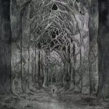 Within The Darkness Between The Starlight