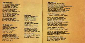 CD Nice Idiot: This Is No Party