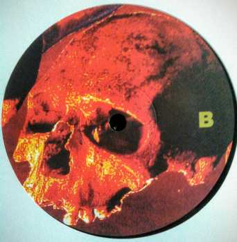 LP Night Terrors: Cobras