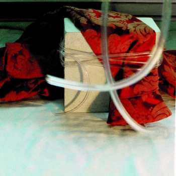 2CD Nikki Sudden: Red Brocade