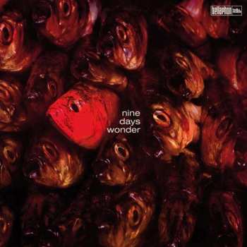 LP Nine Days' Wonder: Nine Days' Wonder CLR