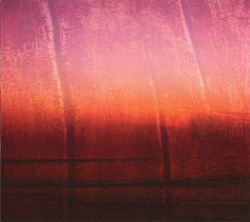 CD Nine Stones Close: One Eye On The Sunrise LTD