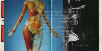 2CD Nirvana: In Utero DLX