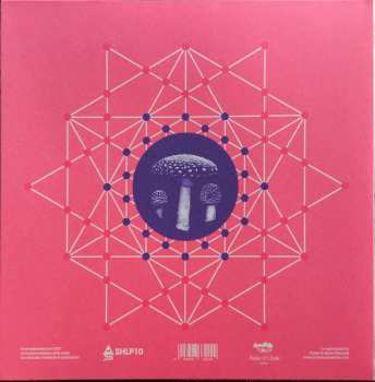 LP Niton: Cemento