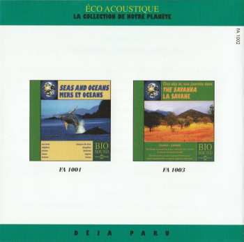 CD No Artist: One Day In The Pine Forest