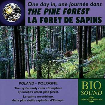 Album No Artist: One Day In The Pine Forest