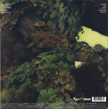 LP Nobody: Vivid Green