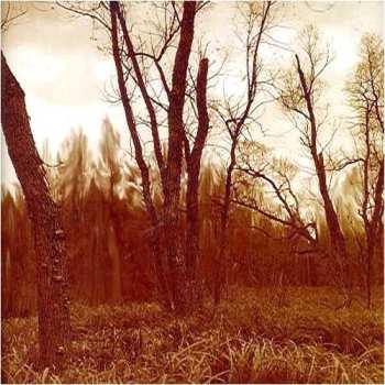 Album Northwoods Improvisers: Branches
