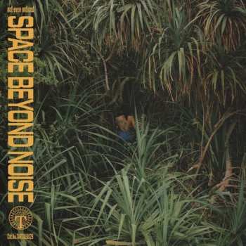 Album not even noticed: Space Beyond Noise