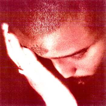 Album Nourished by Time: Passionate Ones