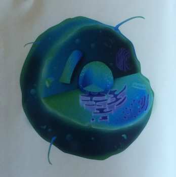 CD Witchcraft: Nucleus