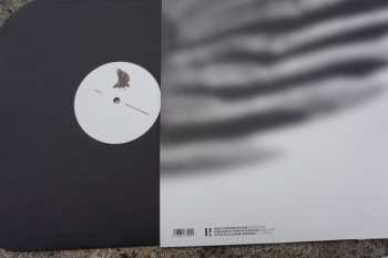 LP N/UM: Ravens