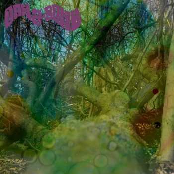 Album Oak & Bone: Oak & Bone