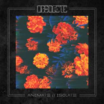 Album Obsolete: Animate // Isolate