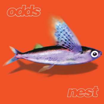 Album Odds: Nest