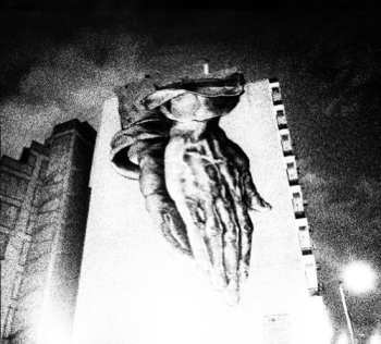 Album Oiseaux-Tempête: Oiseaux-Tempête