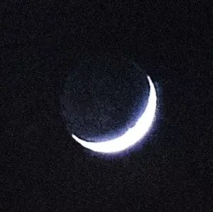 TARAB طرب 