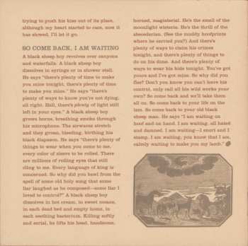 LP Okkervil River: Black Sheep Boy