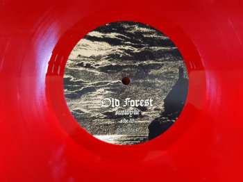 LP Old Forest: Sutwyke LTD | CLR