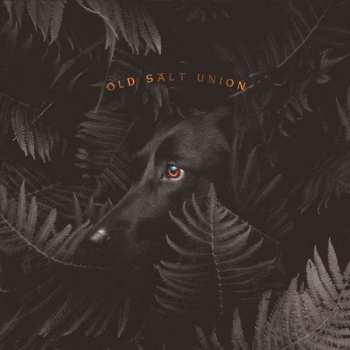 CD Old Salt Union: Where The Dogs Don't Bite