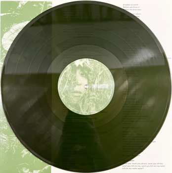 LP Only a visitor: Decay CLR | LTD