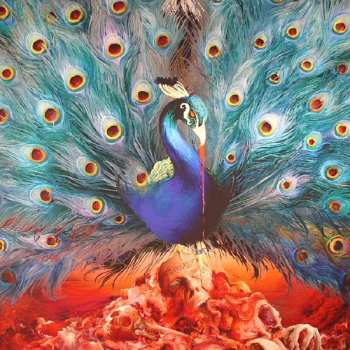 2LP/2CD/DVD/Set di cofanetti Opeth: Sorceress LTD | DIGI