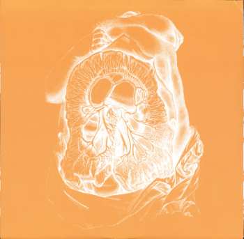 2LP Orbital: Orbital (Brown Album)