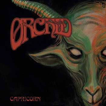 LP Orchid: Capricorn