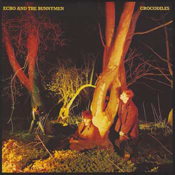 5CD/Set di cofanetti Echo & The Bunnymen: Original Album Series