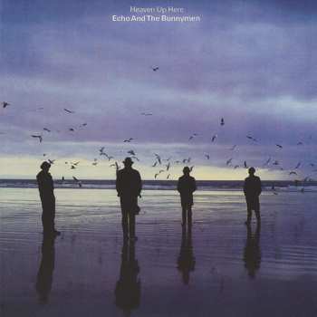 5CD/Set di cofanetti Echo & The Bunnymen: Original Album Series