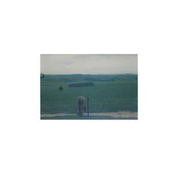 CD OXEN: Oxen