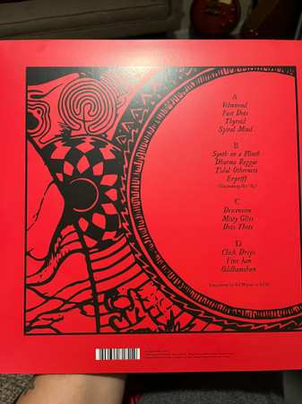 2LP Ozric Tentacles: Erpsongs