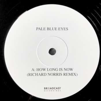 LP Pale Blue Eyes: How Long Is Now LTD