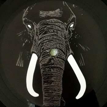 LP Palm Unit: Don't Buy Ivory Anymore - The Music Of Henri Texier