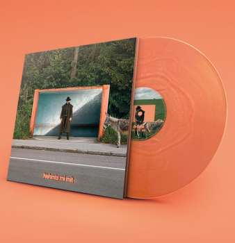 LP Pam Pam Ida: Nehmts Mi Mit (orange Marbled Vinyl)