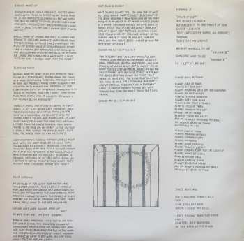 LP Parquet Courts: Sunbathing Animal CLR | LTD
