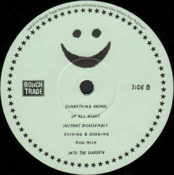 LP Parquet Courts: Sunbathing Animal