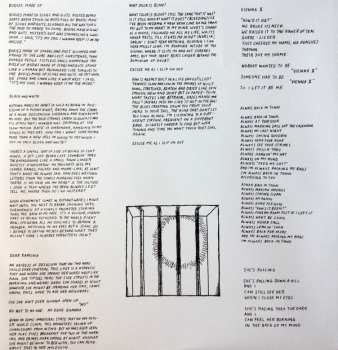 LP Parquet Courts: Sunbathing Animal