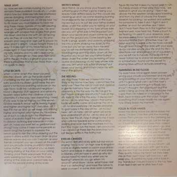 LP Passion Pit: Manners LTD