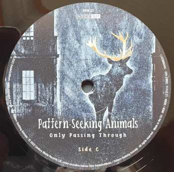 2LP/CD Pattern-Seeking Animals: Only Passing Through