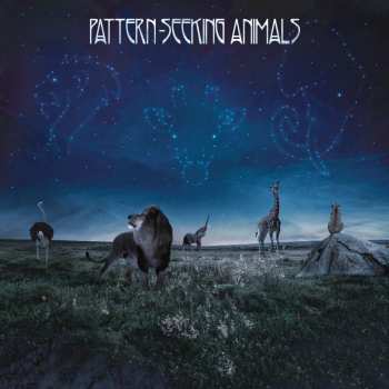 2LP/CD Pattern-Seeking Animals: Pattern-Seeking Animals