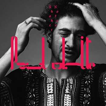 LP Paul White: Shaker Notes