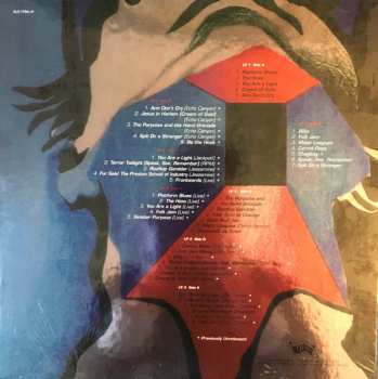 4LP/Set di cofanetti Pavement: Terror Twilight: Farewell Horizontal LTD